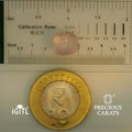 IGITL_197835_SCALE.webp
