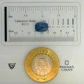 ITLGR_99079_SCALE.webp