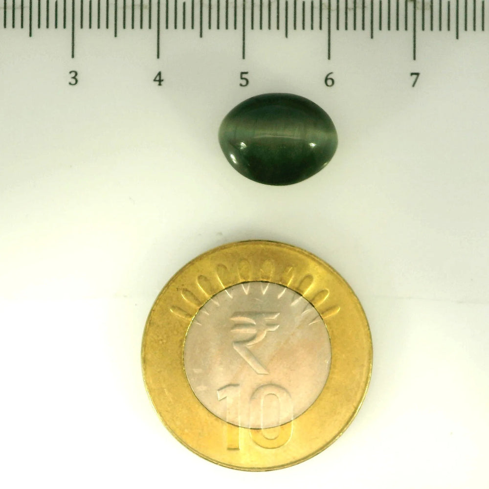 ITLGR_107079_SCALE.webp