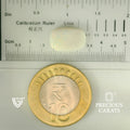 ITLGR_101879_SCALE.webp