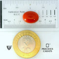 ITLGR_105274_SCALE.webp