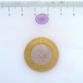 ITLGR_112966_SCALE.webp