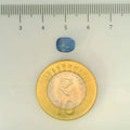 IGITL_200240_SCALE.webp
