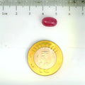 ITLGR_2432_SCALE.webp