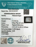 ITLGR_101957_CERTIFICATE.webp