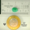 ITLGR_105070_SCALE.webp