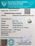 ITLGR_109773_CERTIFICATE.webp