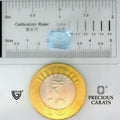 ITLGR_104591_SCALE.webp