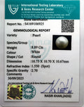ITLGR_106925_CERTIFICATE.webp