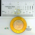 IGITL_197746_SCALE.webp