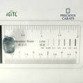 IGITL_194722_SCALE.webp