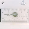 ITLGR_100497_SCALE.webp