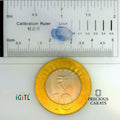 IGITL_197717_SCALE.webp