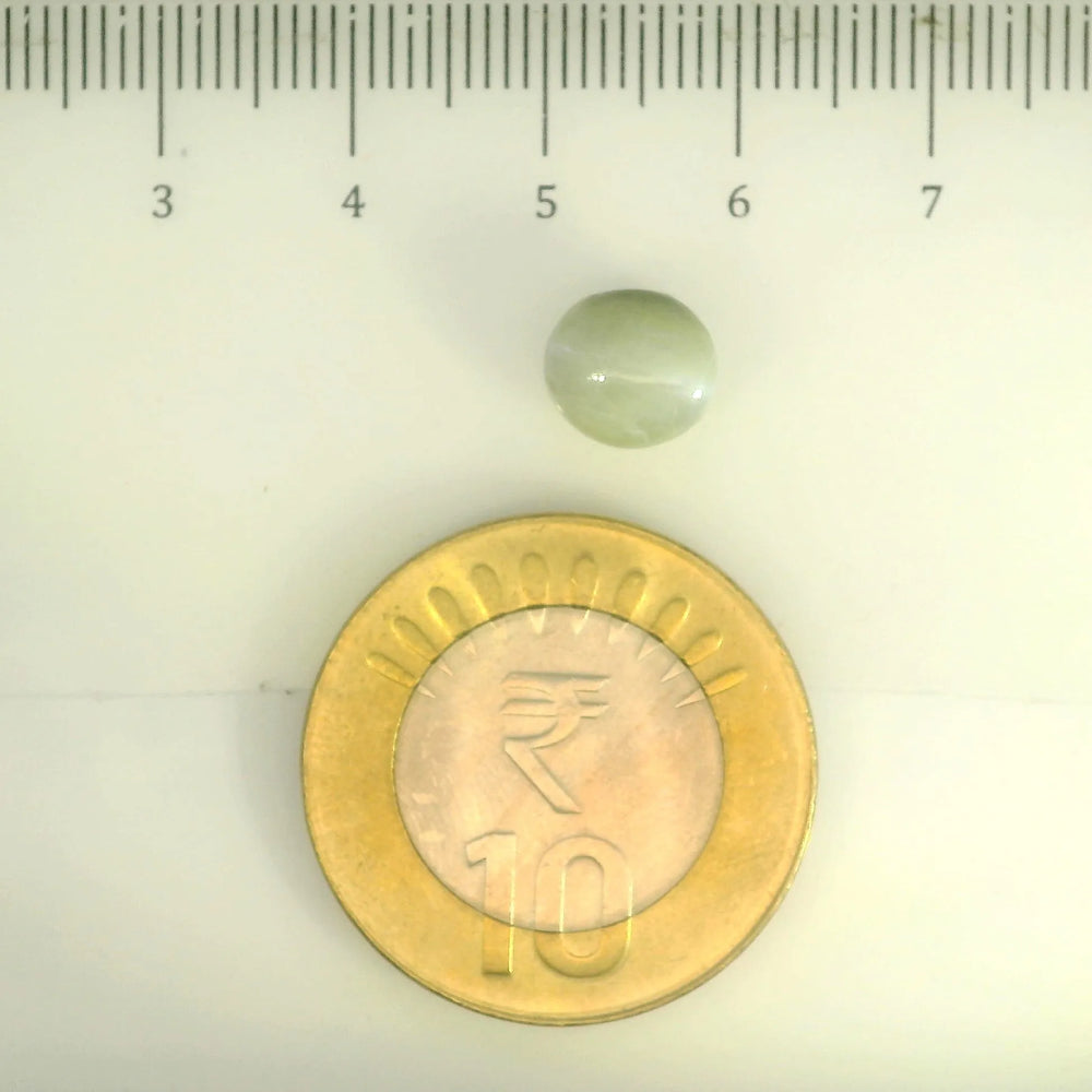 ITLGR_109795_SCALE.webp