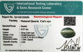 ITLGR_100599_CERTIFICATE.webp