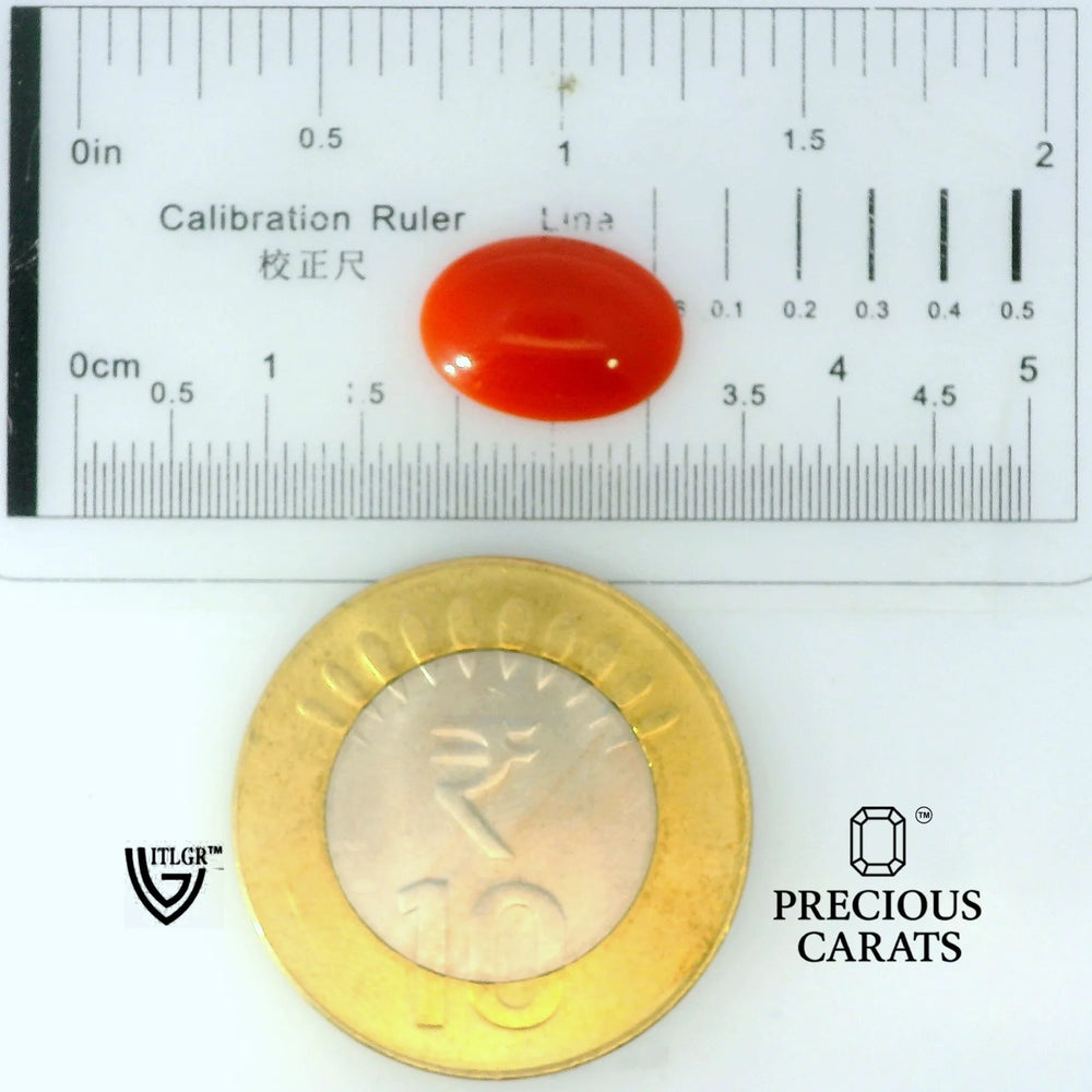 ITLGR_105282_SCALE.webp