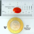 ITLGR_105282_SCALE.webp