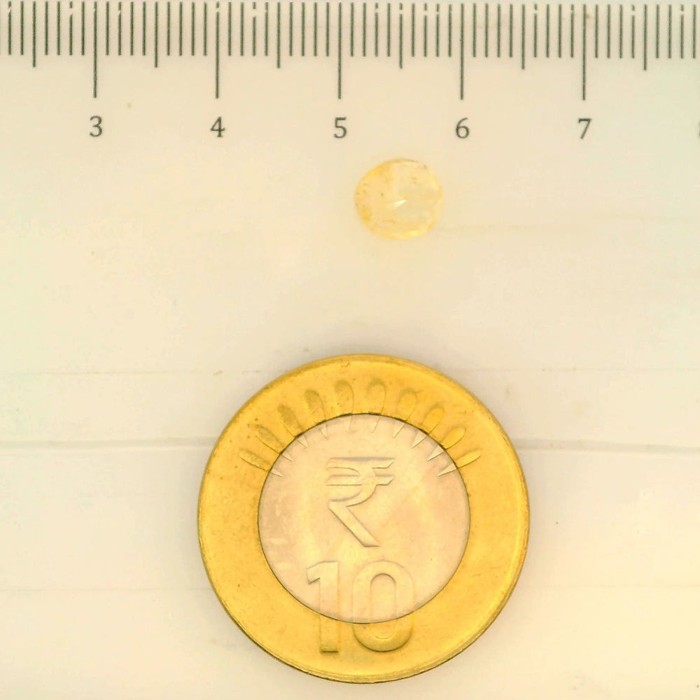 ITLGR_104944_SCALE.webp