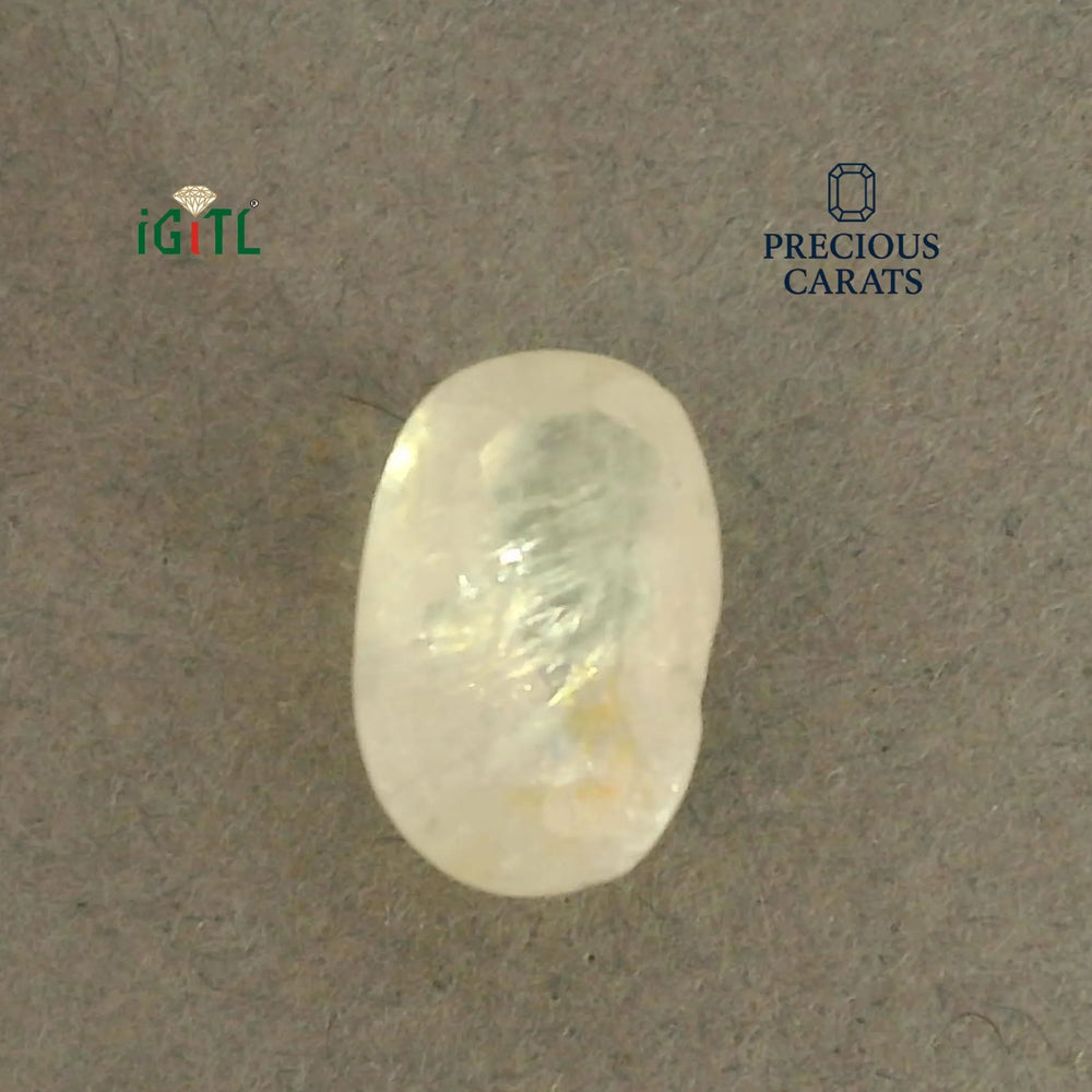 IGITL_200283_TOP.webp