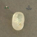 IGITL_200283_TOP.webp