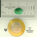 ITLGR_105127_SCALE.webp