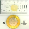 ITLGR_109961_SCALE.webp