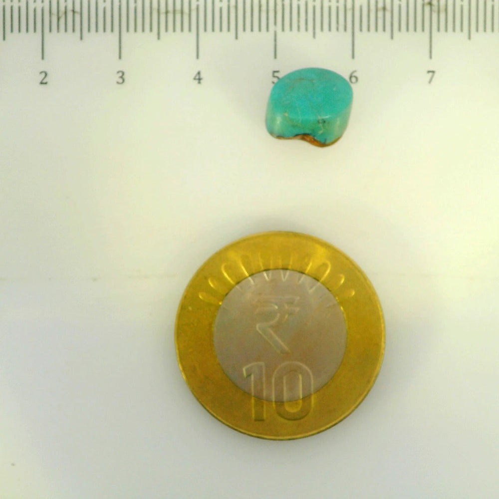 ITLGR_107227_SCALE.webp