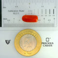 ITLGR_104514_SCALE.webp
