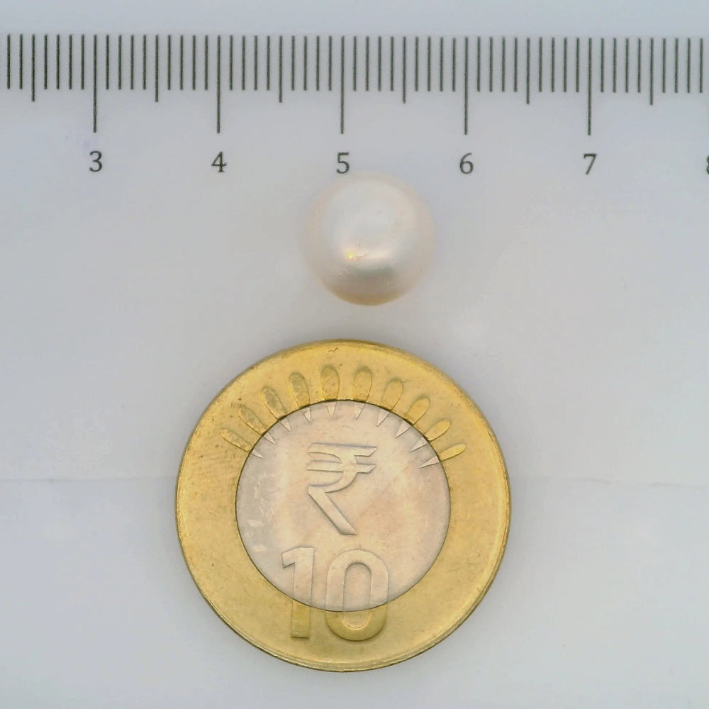 ITLGR_107034_SCALE.webp