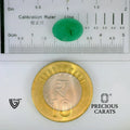 ITLGR_102235_SCALE.webp