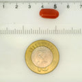 ITLGR_121344_SCALE.webp