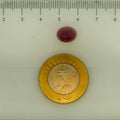 ITLGR_112897_SCALE.webp