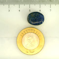 ITLGR_107178_SCALE.webp
