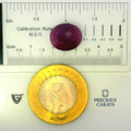 ITLGR_100277_SCALE.webp