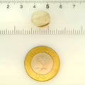 ITLGR_121462_SCALE.webp