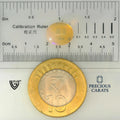 ITLGR_100537_SCALE.webp