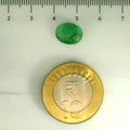 ITLGR_106855_SCALE.webp