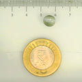 ITLGR_109812_SCALE.webp