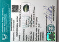ITLGR_107049_CERTIFICATE.webp