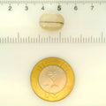 ITLGR_121463_SCALE.webp