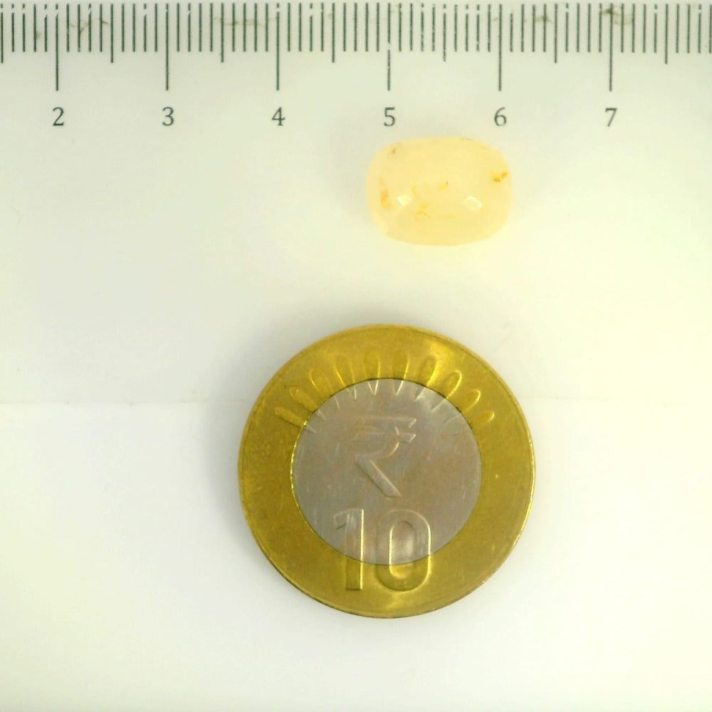 ITLGR_106788_SCALE.webp