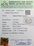 IGITL_212008_CERTIFICATE.webp