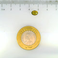 ITLGR_113295_SCALE.webp