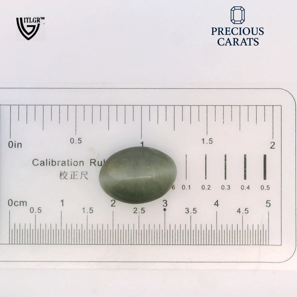 ITLGR_100589_SCALE.webp