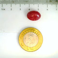 ITLGR_2428_SCALE.webp