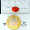 ITLGR_105281_SCALE.webp