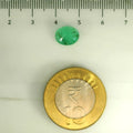 AGR_88373_SCALE.webp