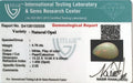 ITLGR_100558_CERTIFICATE.webp
