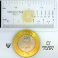 ITLGR_109962_SCALE.webp