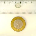 ITLGR_122112_SCALE.webp